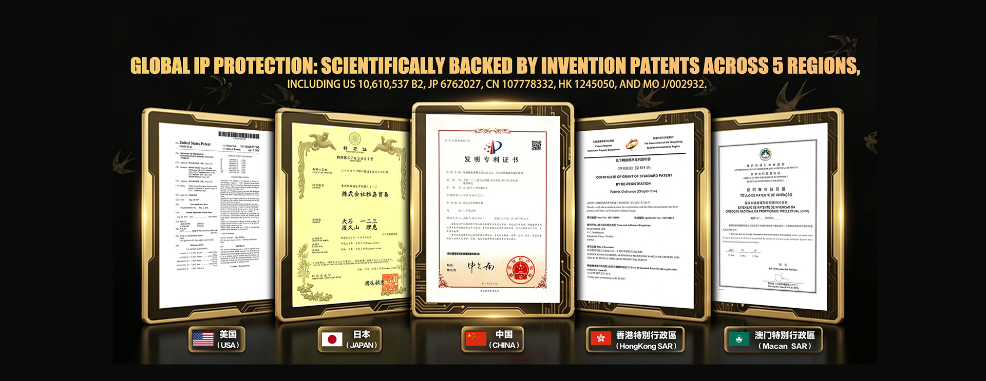 5-Region Patent Matrix
